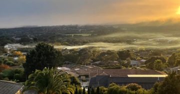 Ban all new wood heater installations and replace the rest to improve Canberra air quality: report