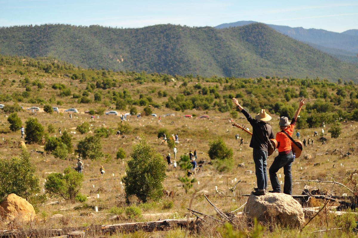 two people facing grassland with their hands raised