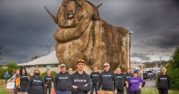 Free speech concerns over political sign 'ban' in Goulburn Mulwaree