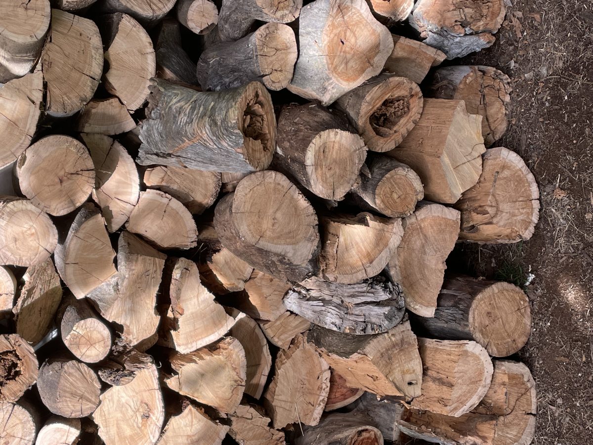 Stack of firewood