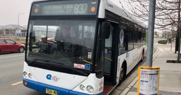 All aboard! Lobby group makes the case for better cross-border bus connections