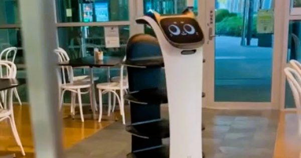 Canberra café employs robot to bring your byte to eat