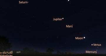 Five planets align in Canberra's morning sky for the last time until 2040
