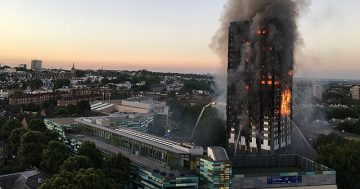 Mr Fluffy and combustible cladding: Why are apartment owners being treated differently?