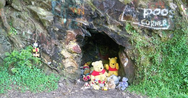 Childhood memories of Pooh's Corner inspire Canberra filmmaker