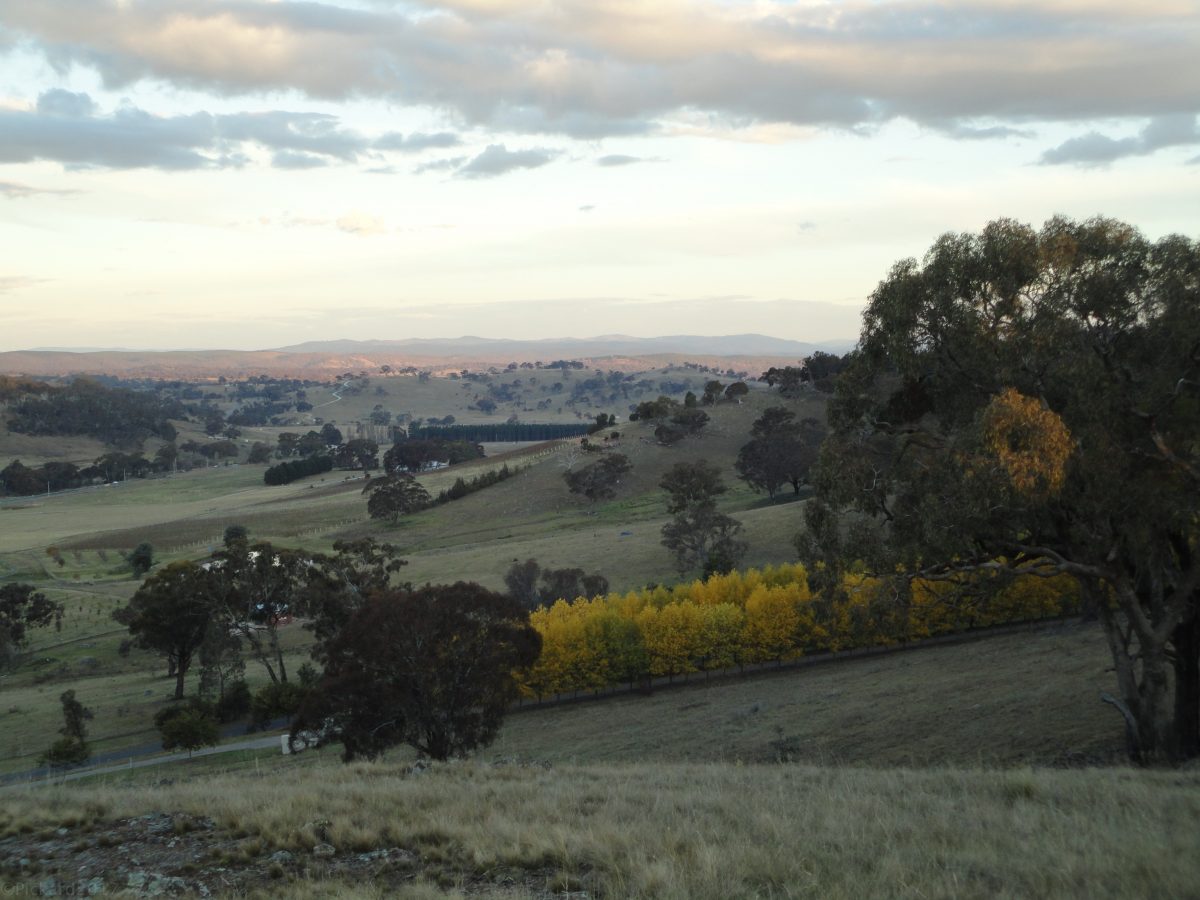 Majura Valley