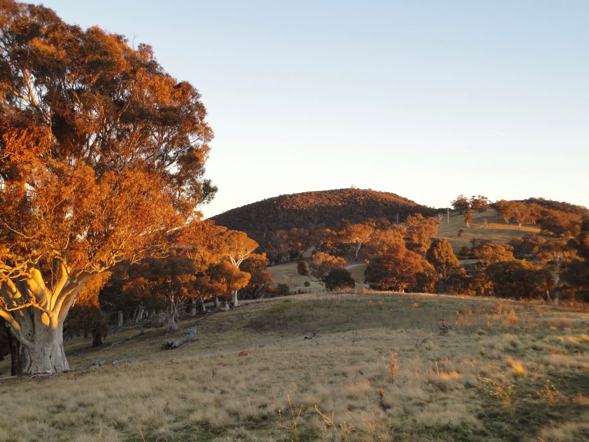 Majura Valley farmland