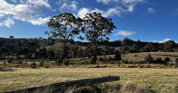 Strong demand for rural blocks within Canberra's 'golden circle' at Woodfield Hills