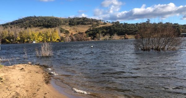 Now the water’s going down, let's talk about Lake Jindabyne's foreshore