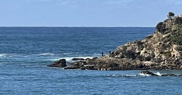 Fishers back on the rocks after near-drowning at Malua Bay