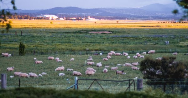 Proposed transport depot another blow to Majura Valley, says farm lobby