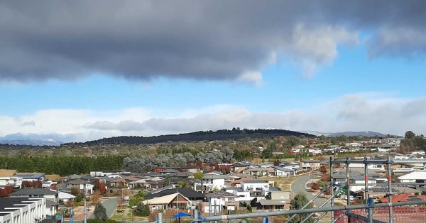 How the ACT's 'modest' tree canopy target will fail, and what to do about it