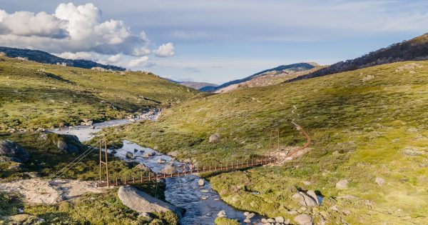 Australia's 'highest' suspension bridge opens path to alpine tourism