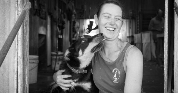 Women proving to be all class in the shearing industry