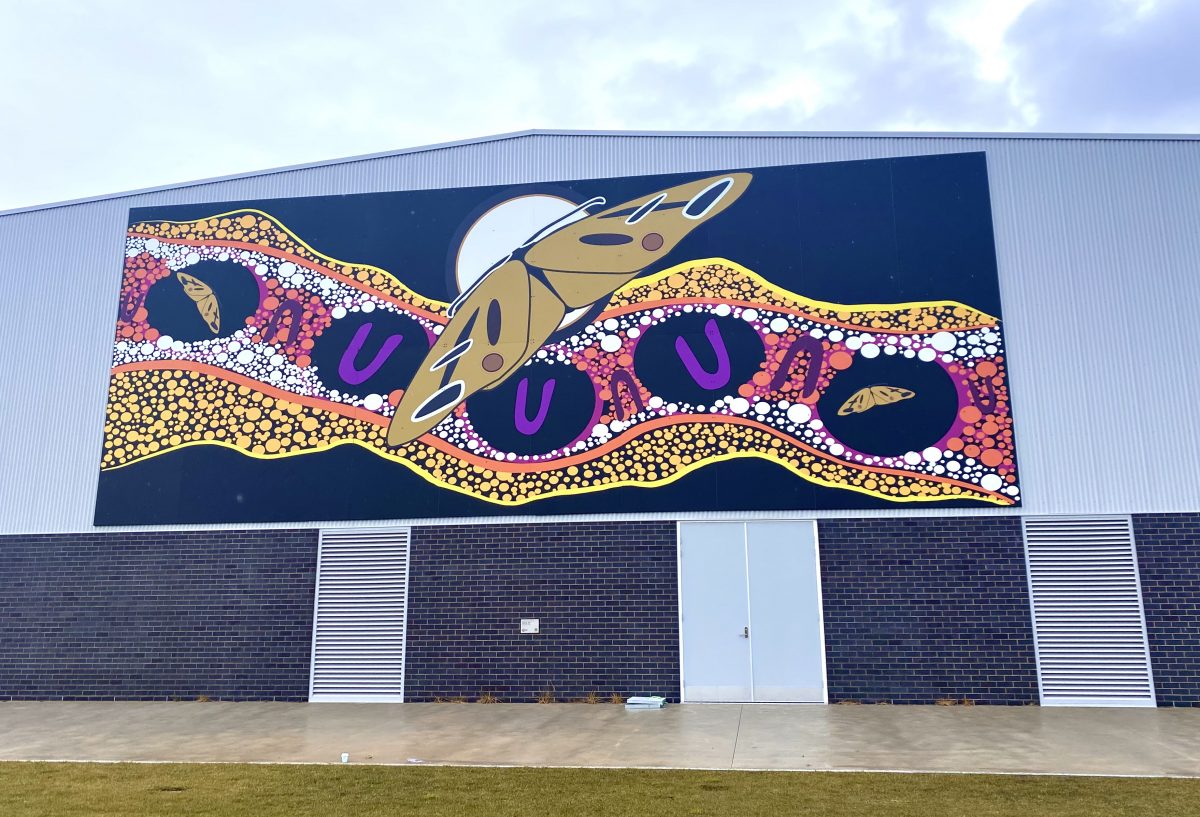 The new indigenous mural at Evelyn Scott School