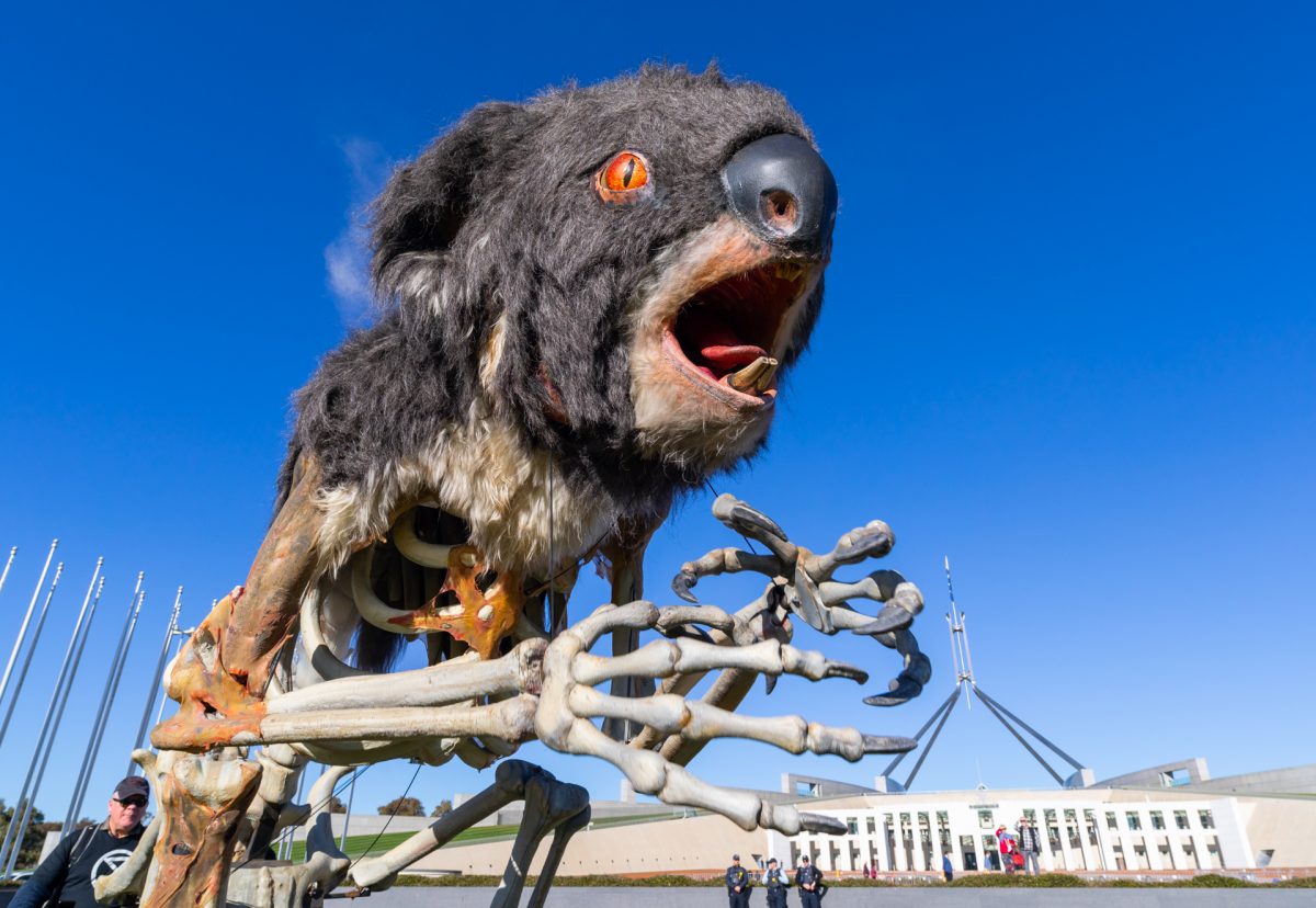 Protesters bring burning koala to parliament and expected traffic  disruptions to town ahead of climate change bill