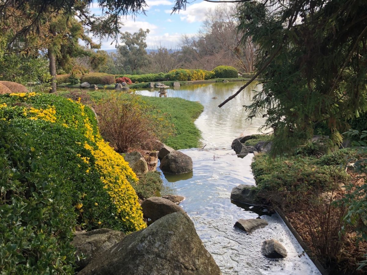 are dogs allowed in cowra japanese garden