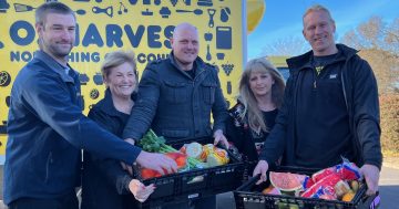 Nine million meals delivered but OzHarvest Canberra's busier than ever