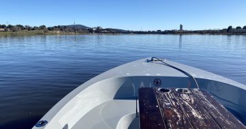 How to spend Valentine's Day in Canberra this year