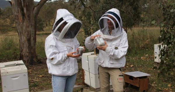 Varroa mite management plan gets the thumbs up now that eradication is no longer possible