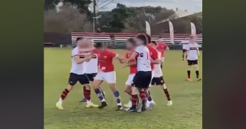 Brawl highlights crisis within Canberra football refereeing ranks