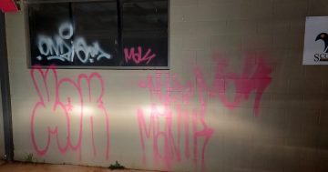 Calls for decency after cruel, senseless vandalism of community facilities