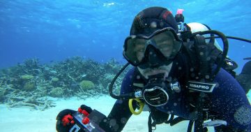 Public servants working for the reef are happy at UN decision too