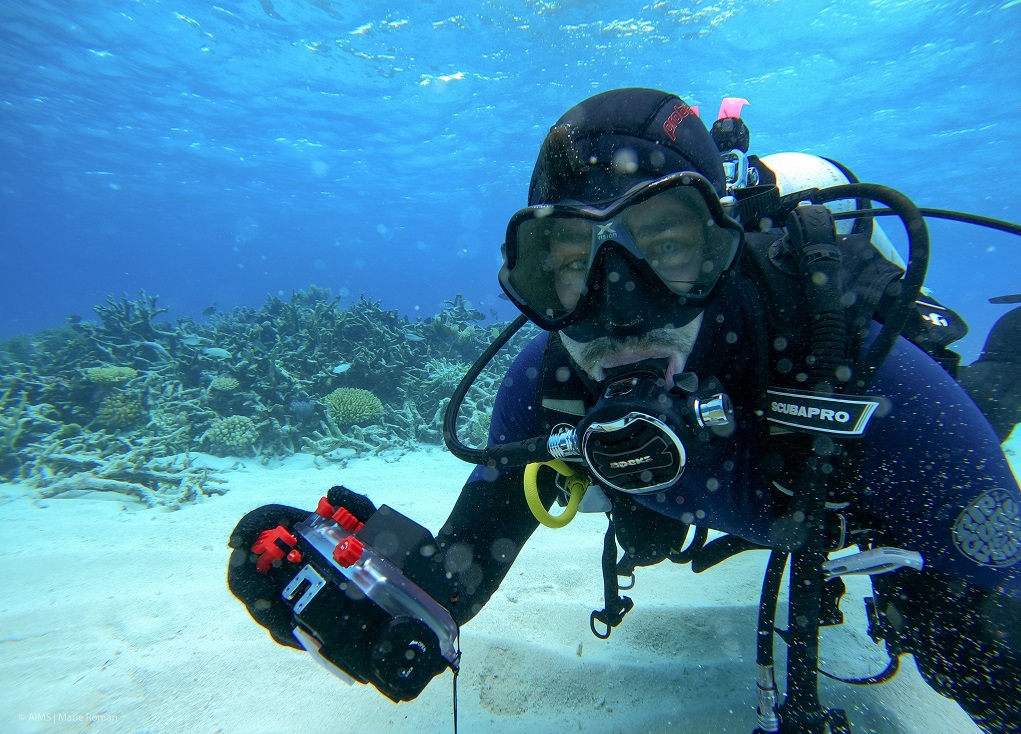 diver on the great barrier reef