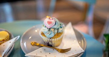 Sugar Plum Fairy Cakes: cupcakes that taste every bit as good as they look!