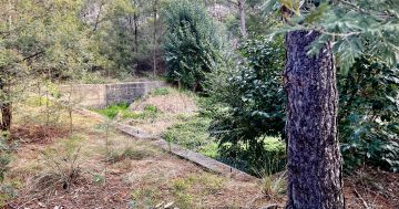 This hidden concrete 'pool' is all that's left of Canberra's WWI 'concentration' camp