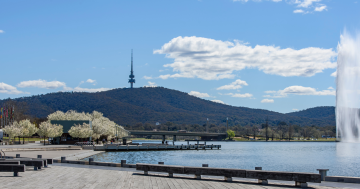 NCA tests the waters for a 'commercial floating sauna' on Lake Burley Griffin