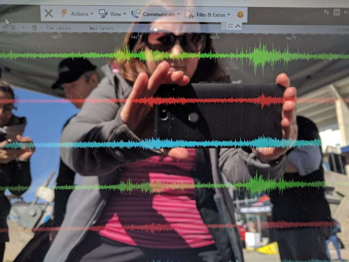 A woman takes a photo of sound waves on a screen.