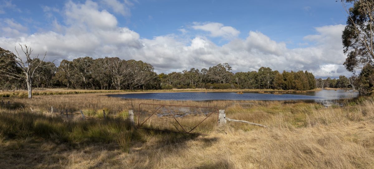 Dam on farm