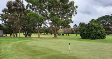 Narrabundah's golf course given new lease on life as former landscapers take over