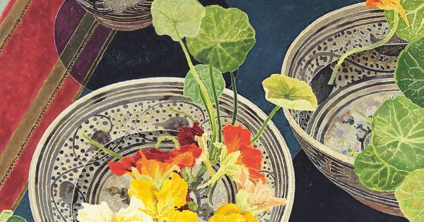 Cressida Campbell's NGA show is a gentle, beautiful examination of ordinary life