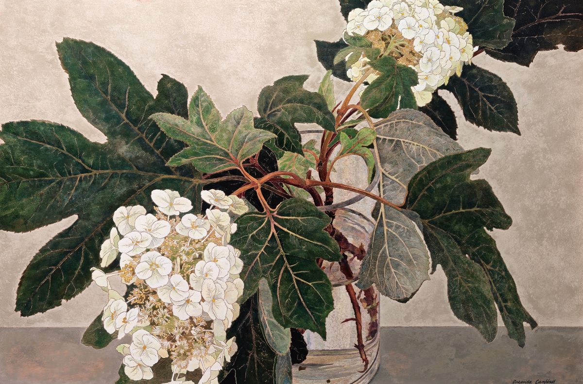 Cressida Campbell flowers in vase painting