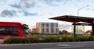 The magic of Canberra is captured in this 'Nue' Gungahlin development
