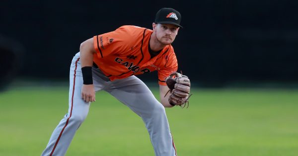 Canberra Cavalry set for welcome return at home