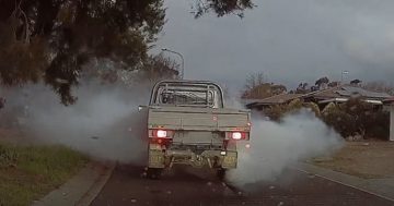 Burnout in front of police lands driver in court