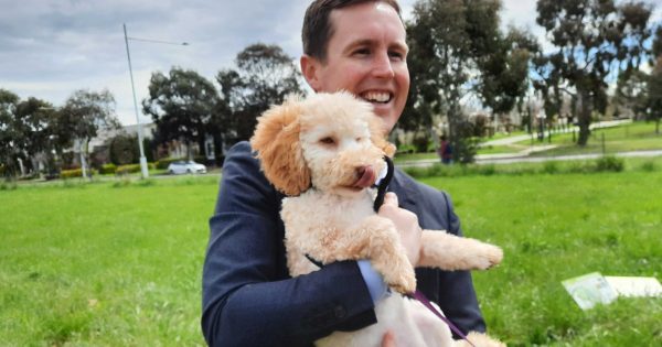 Pawfect! New dog parks on way for the north and south
