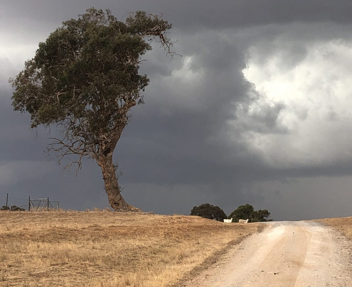 Storm clouds over country road