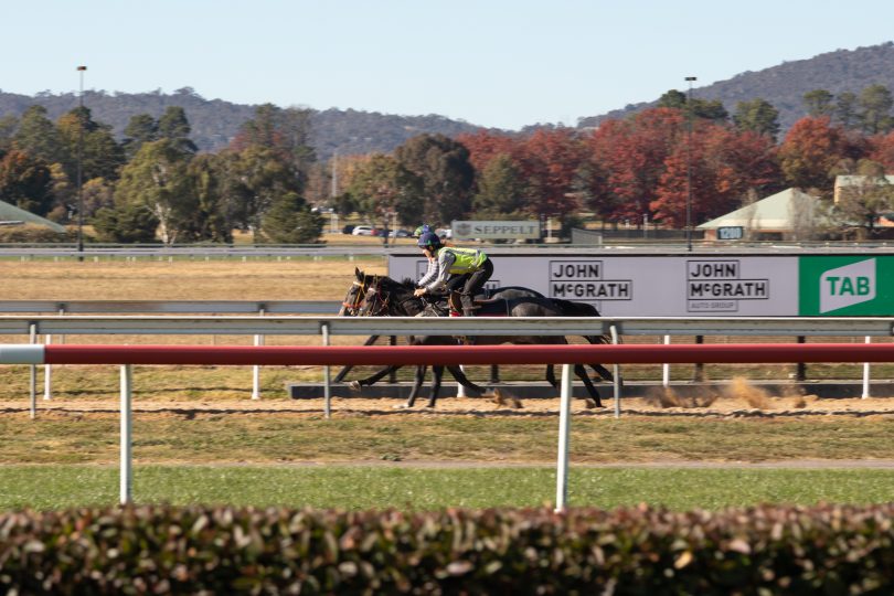 Canberra Race Course at Thoroughbred Park. Photo: Michelle Kroll.