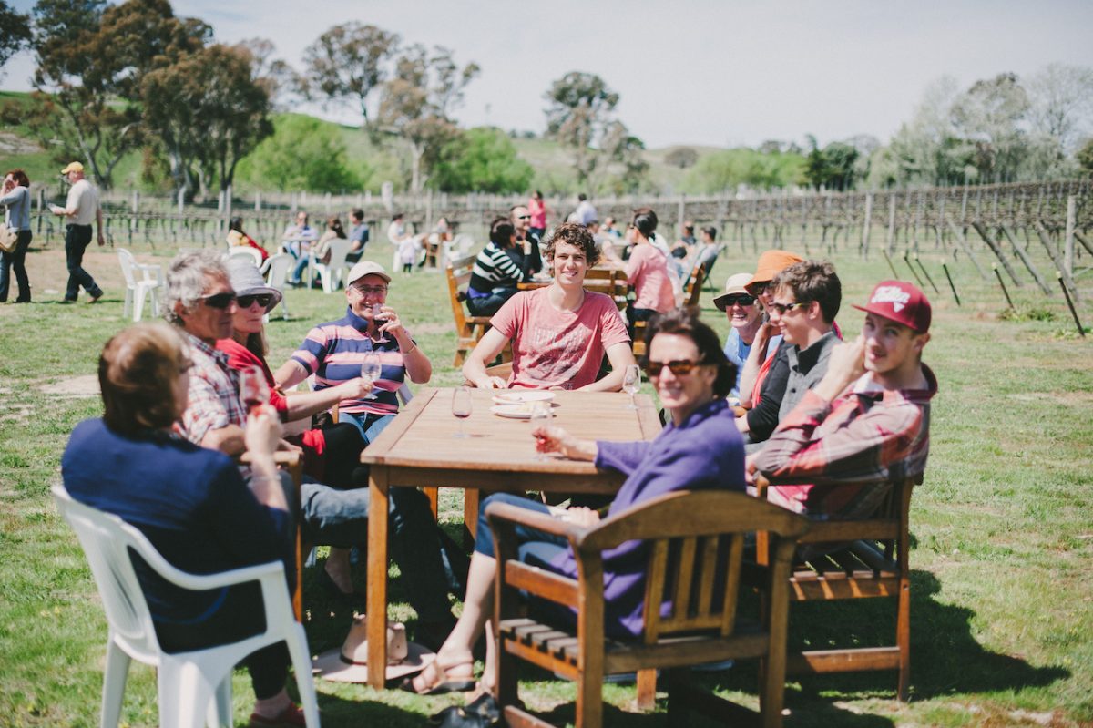 People sitting at a table in a vineyard