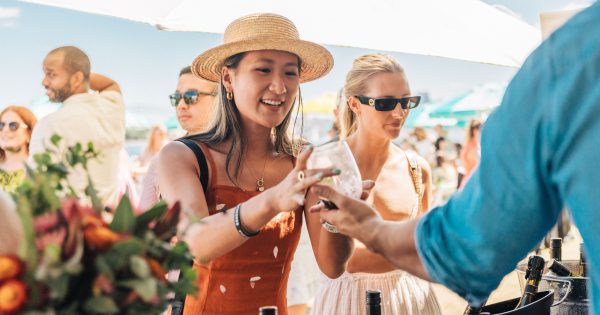 Wine not? Wine Island festival to take over Queen Elizabeth II Island this summer