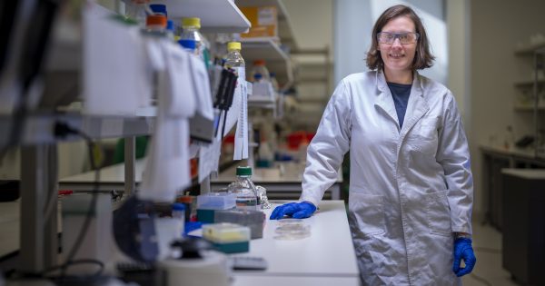 Canberra scientists take giant leap for biology to grow plants on the moon