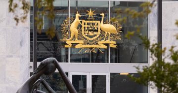 Burglaries, robbery and thefts committed across Canberra when man was 'chasing drugs'