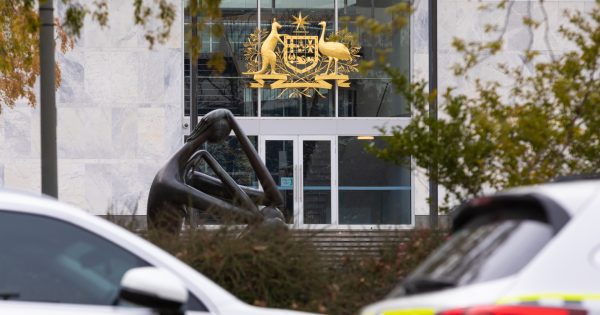 Faeces, cockroaches, broken glass and knives: mum sentenced for neglecting children