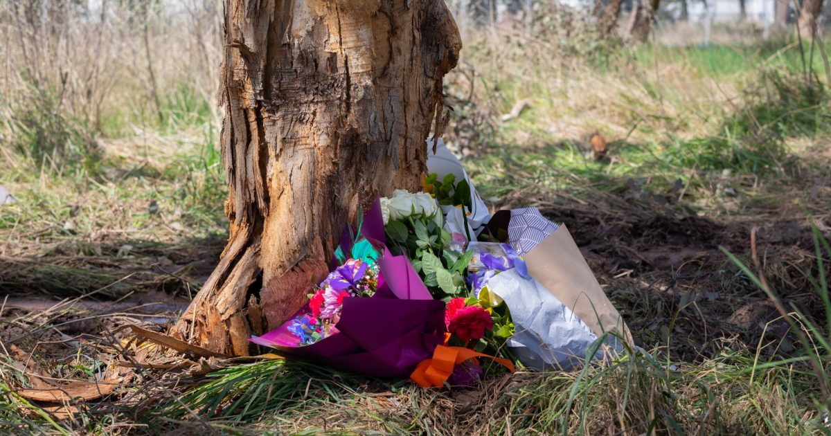 Monaro Highway Fatal Crash Highlights Need For Sentencing, Bail Review ...