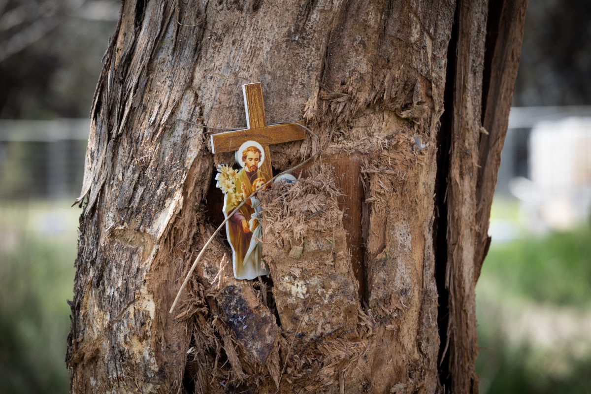 The Power of the Cross - Marist Regional College