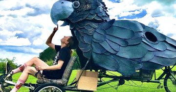 Those magnificent men (and women) and their kinetic machines prepare for race across Canberra